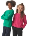 JH030J-kelly-green-hot-pink-dziecieca-bluza-klasyczna-JUST-HOODS-by-AWDis