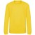 JH030J-sun-yellow-dziecieca-bluza-klasyczna-JUST-HOODS-by-AWDis